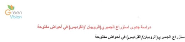 دراسه جدوى لتربيه و استزراع الجمبرى / الروبيان /القرديس - Image 3