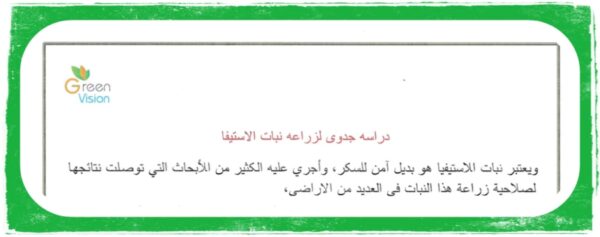دراسه جدوى لزراعه نبات الاستيفا - Image 6