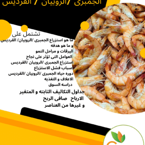 دراسه جدوى لتربيه و استزراع الجمبرى / الروبيان /القرديس