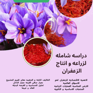 دراسه جدوى لزراعه نبات الزعفران