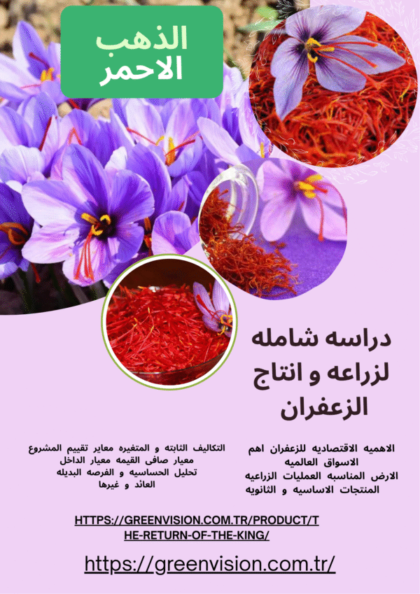 دراسه جدوى لزراعه نبات الزعفران