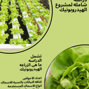 (دراسه جدوى لانشاء مزرعه اكوابونيك (اسماك و خضروات