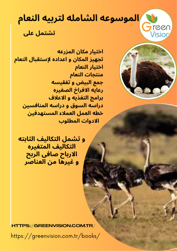 دراسه جدوى لانشاء مزرعه لتربيه النعام