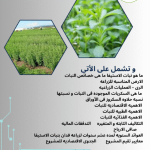 دراسه جدوى لزراعه نبات الاستيفا