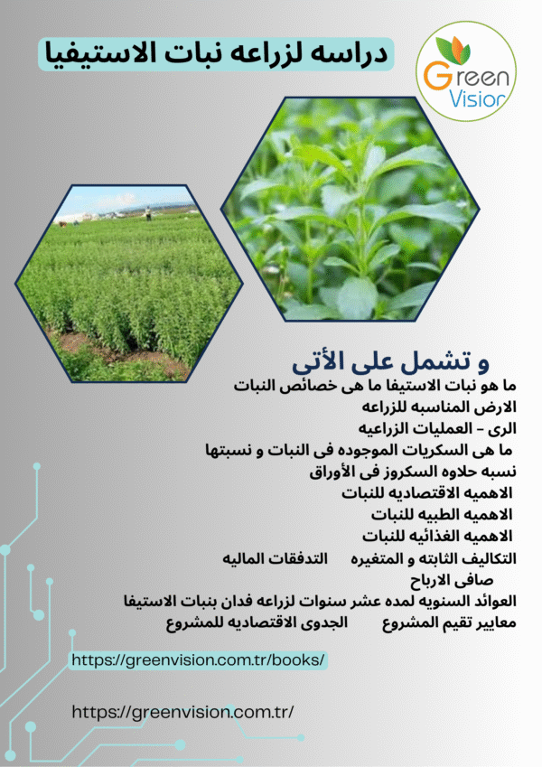 دراسه جدوى لزراعه نبات الاستيفا