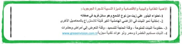 دراسه جدوى شامله انتاج الجوجوبا - Image 3