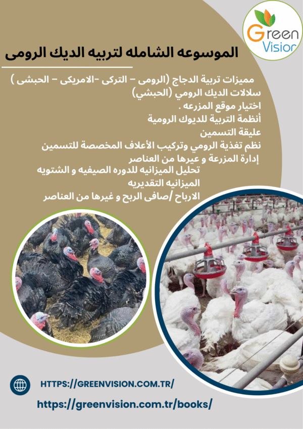 دراسه جدوى شامله  لتربيه الدجاج الرومى-التركى -الامريكى -الحبشى